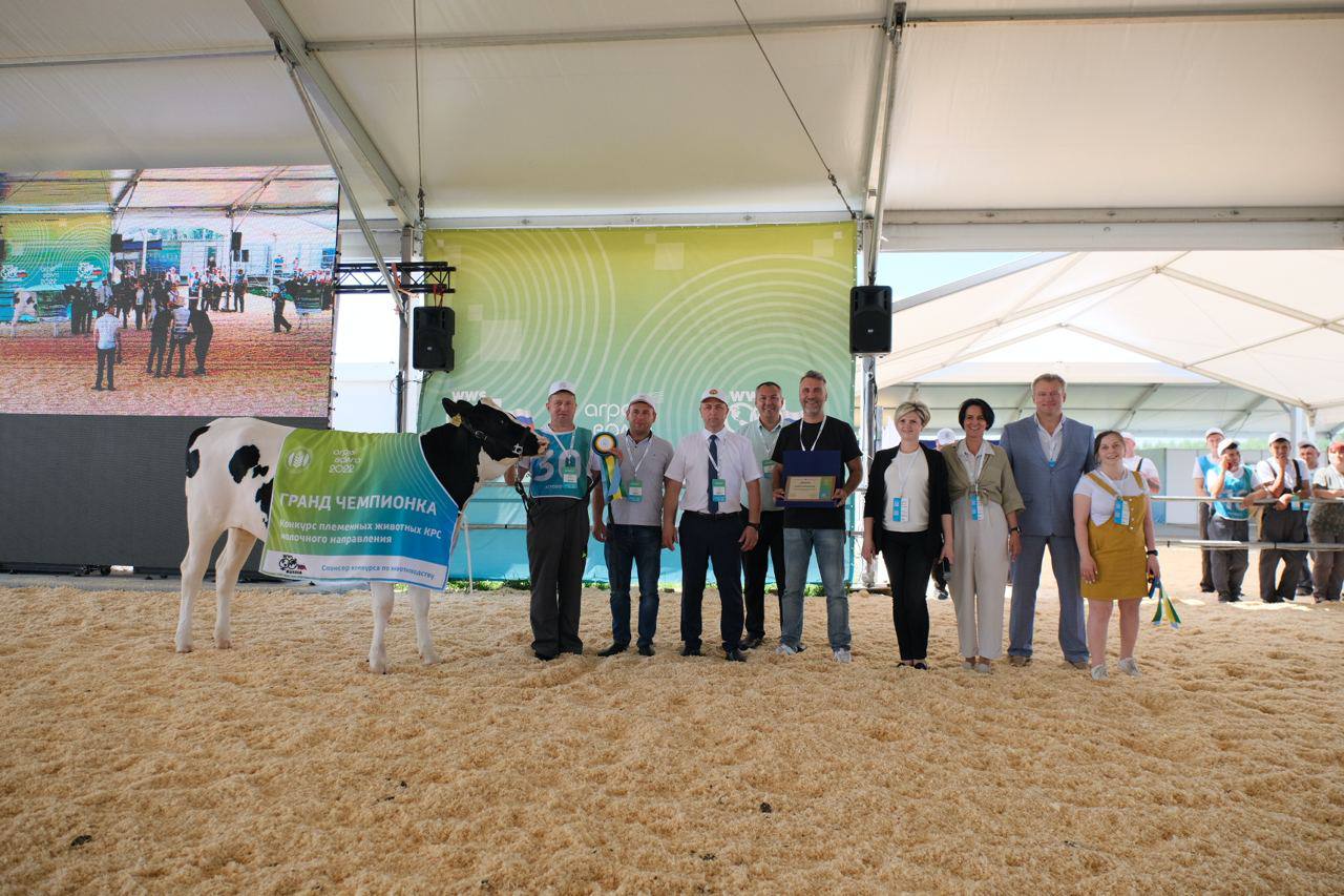 The best breeding cows were selected at the exhibition "Agrovolga" in the Republic of Tatarstan